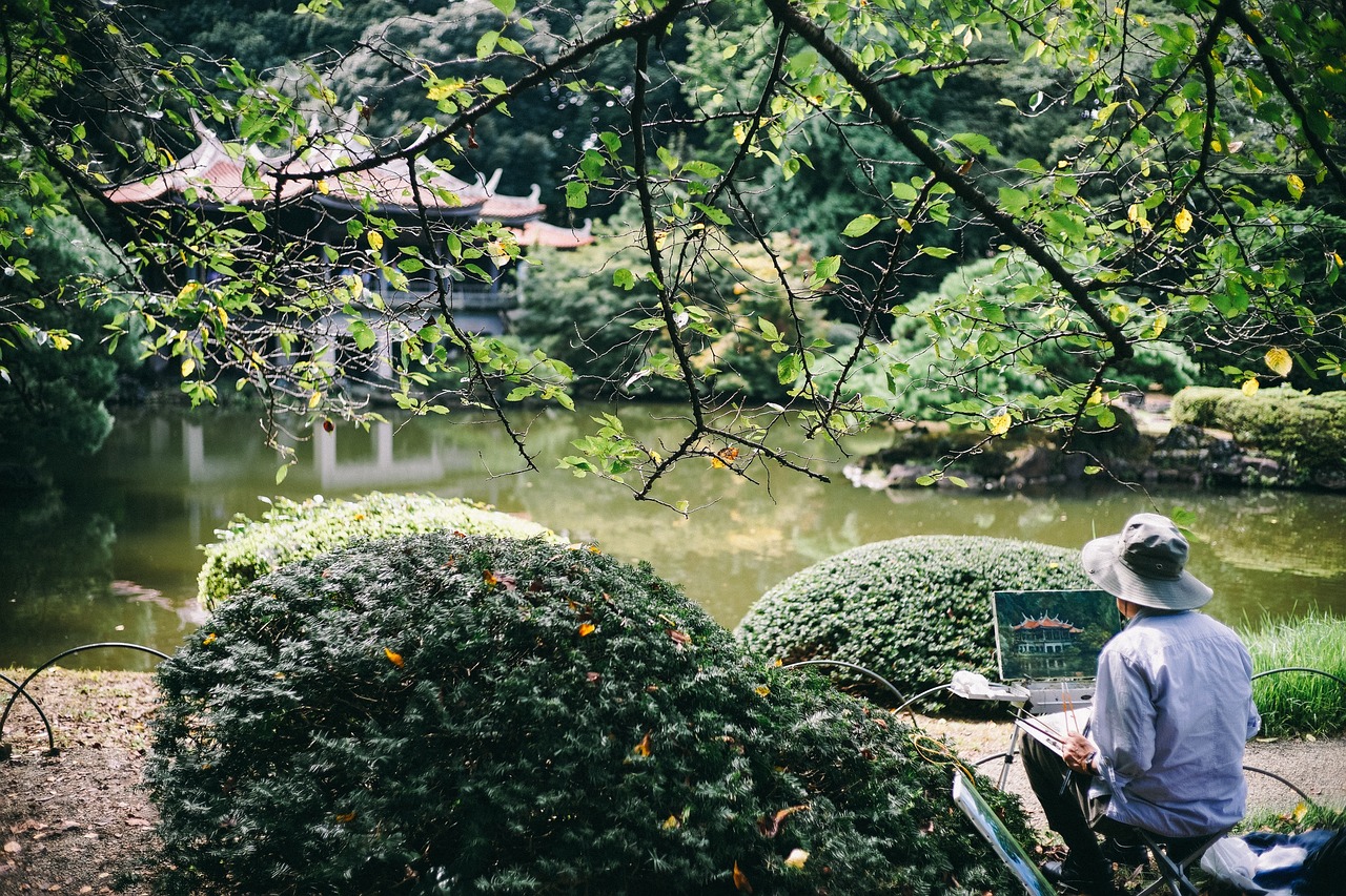 室内进口名贵绿植盆栽树，美化家居的艺术之选