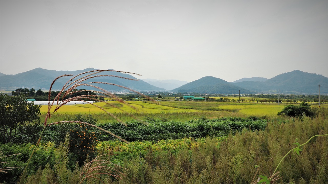 千岛湖景秀花园地址——探寻美丽的生态居住胜地