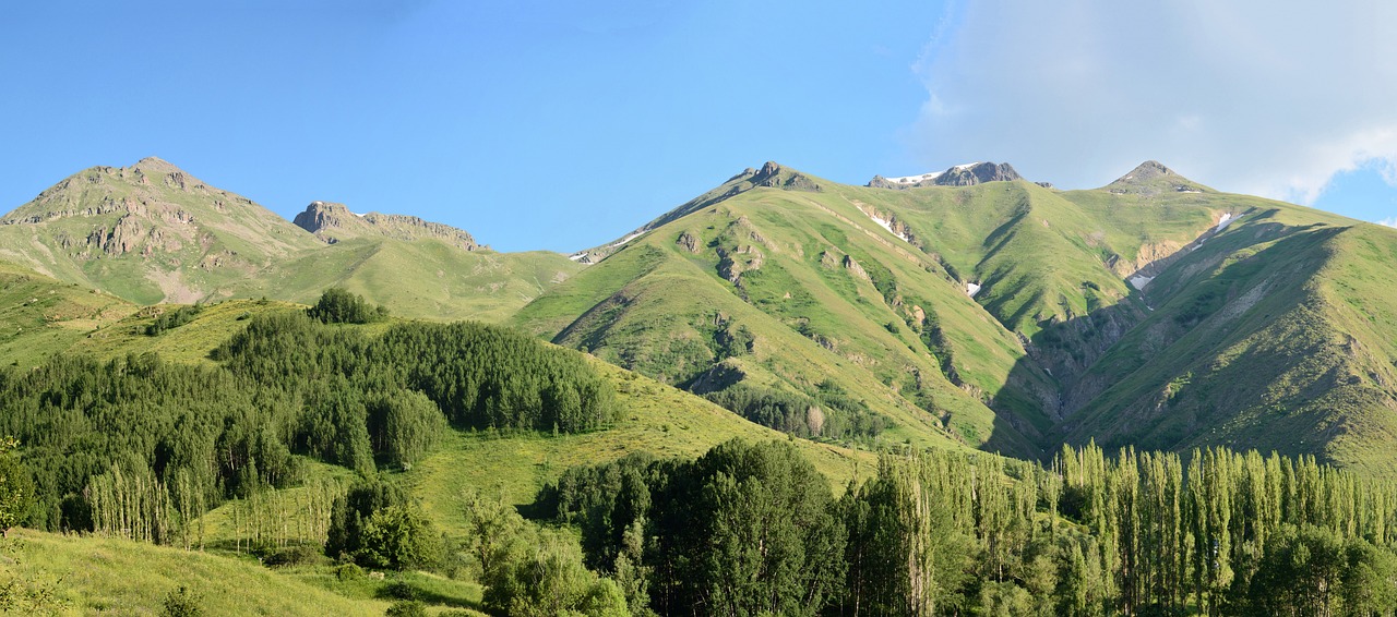 北京森林假日露营地，体验自然之韵，尽享假日时光