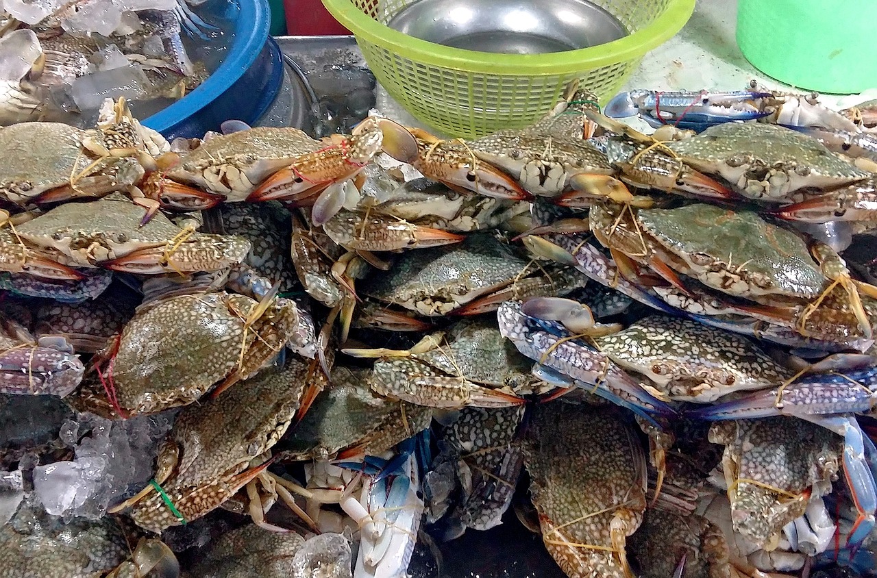 大兴烧烤钓鱼森林露营地，体验自然与美食的完美结合