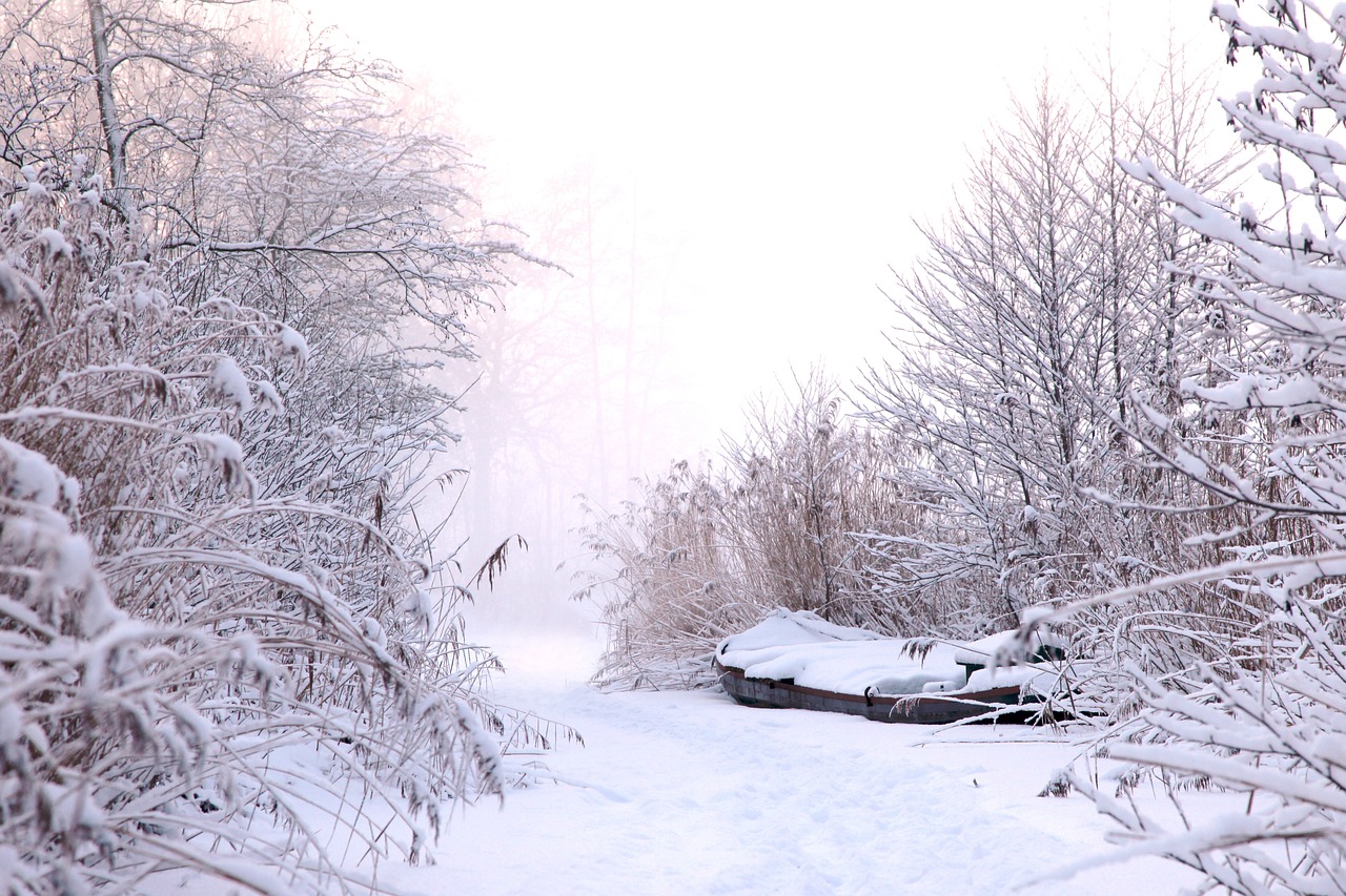 北京奥林匹克公园的雪