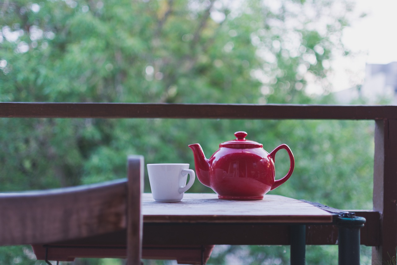 绿植盆栽与室内茶煮茶，美化生活并滋养身心