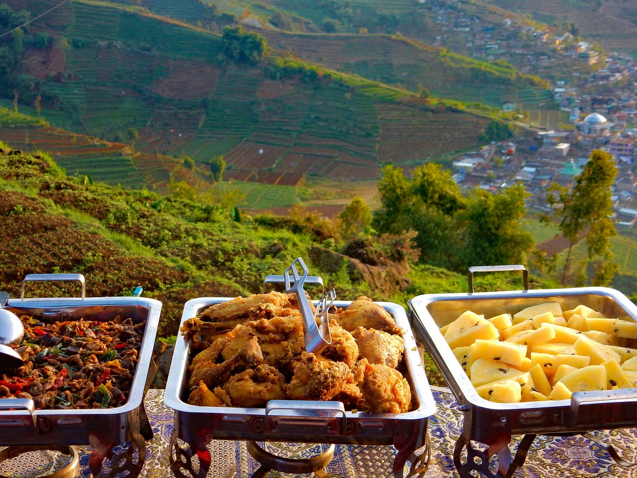 常州森林公园烧烤露营之旅，一场自然与美食的完美结合