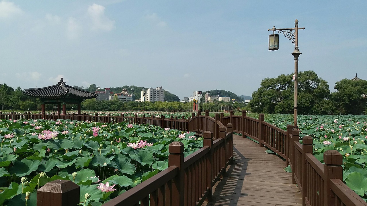 北京奥林匹克公园花滑场的魅力与活力