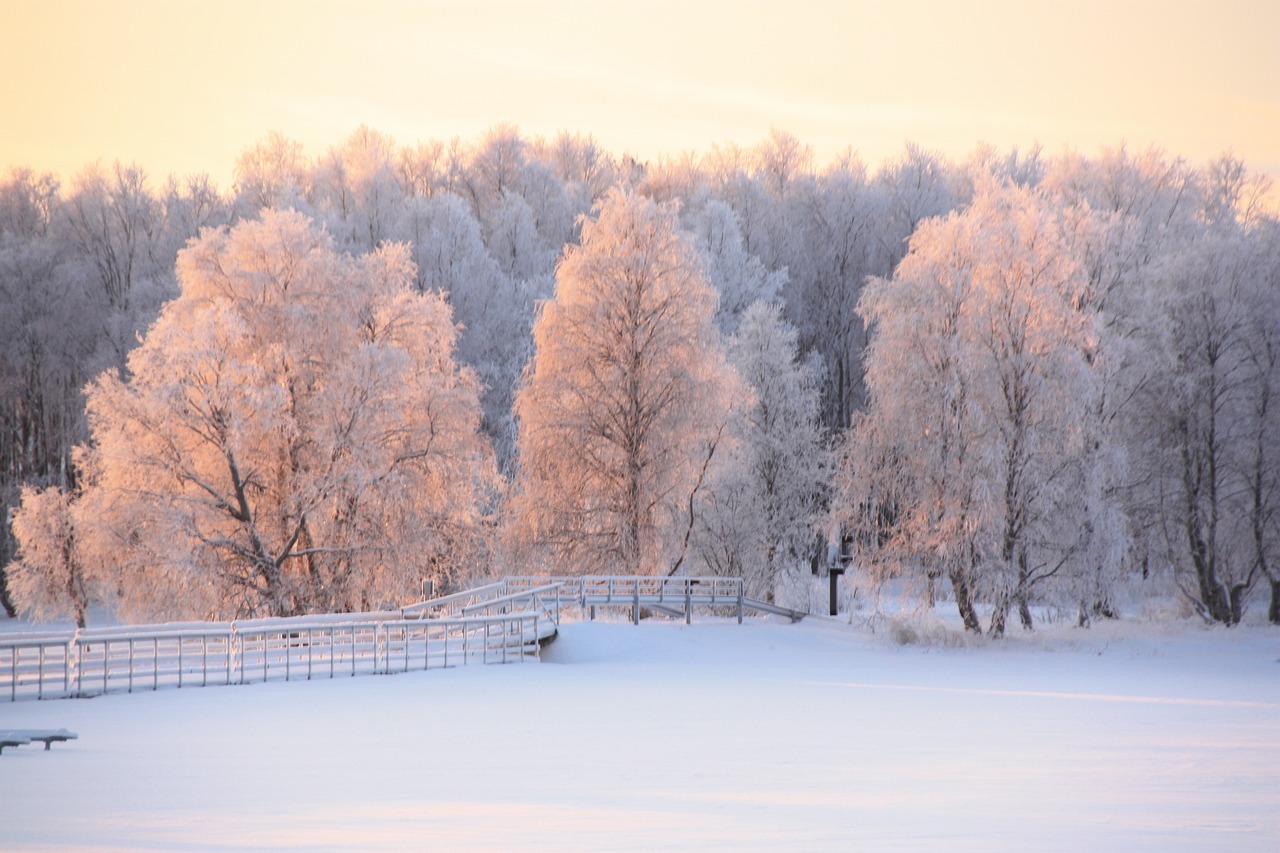 北京奥林匹克公园的雪花之梦