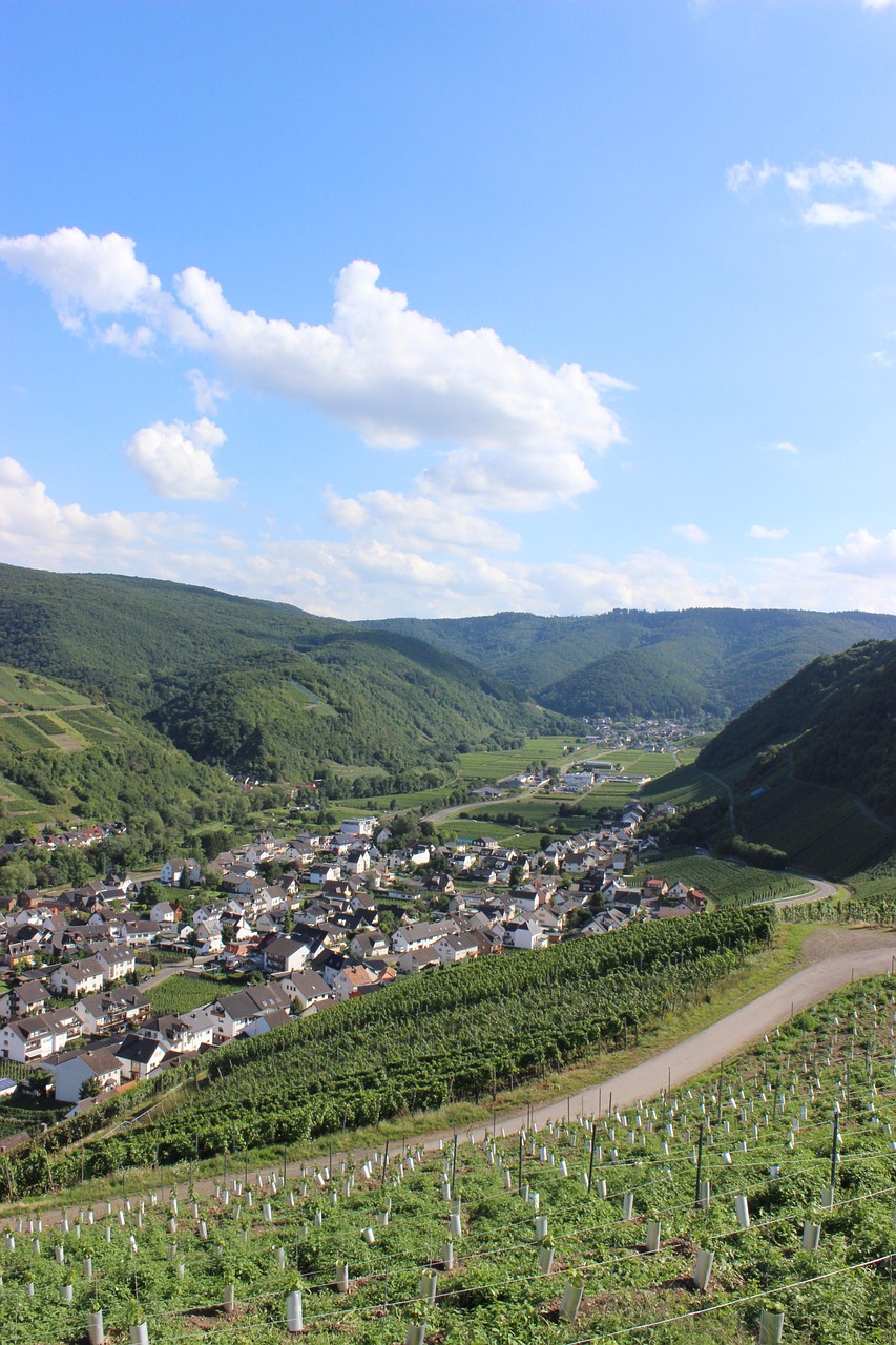 千岛湖景区地址查询指南